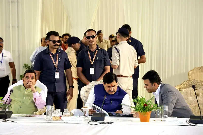 मुख्यमंत्री डॉ. यादव ने नीमच सोलर पार्क एवं ग्रीनको परियोजना का किया एरियल सर्वे