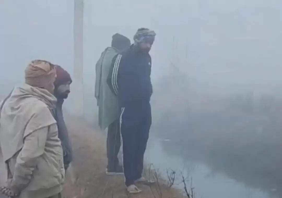 शहीद प्रतिमा के निकट मिला वृद्ध का शव