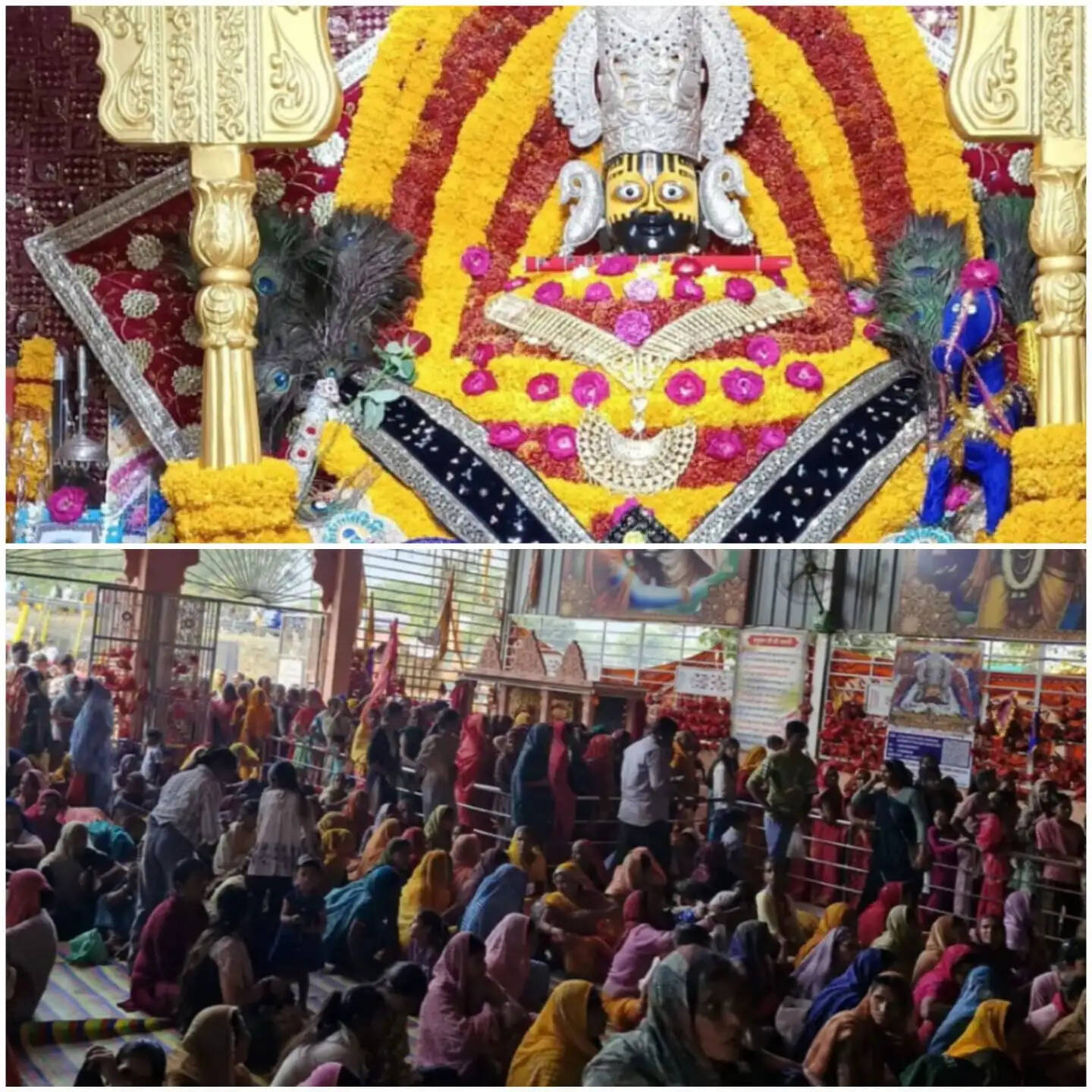 राजगढ़ः एकादशी पर खाटू श्याम मंदिर में उमड़ा आस्था का सैलाब