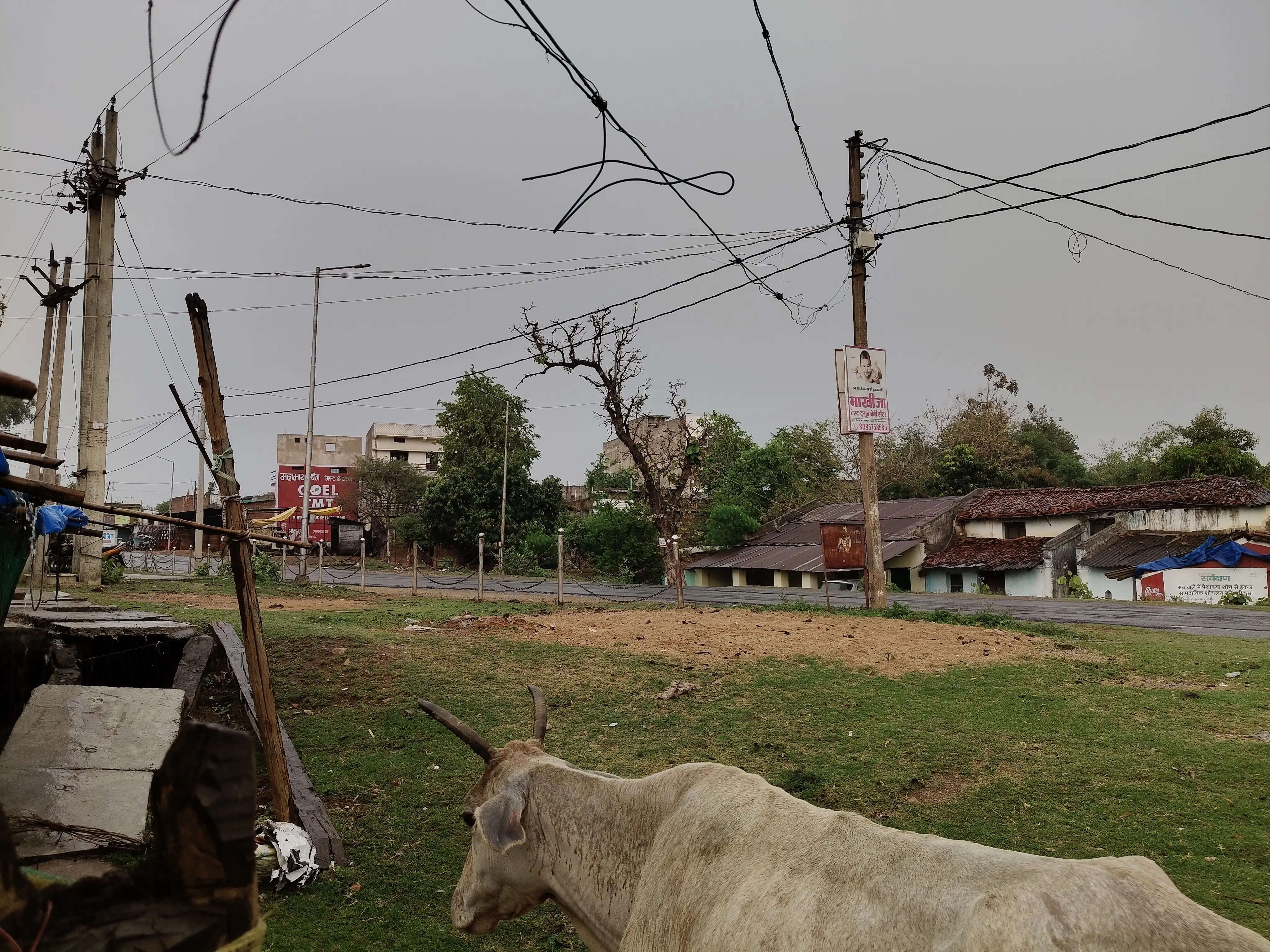 बलरामपुर : आंधी-तूफान के साथ जमकर हुई बारिश, गिरा पारा