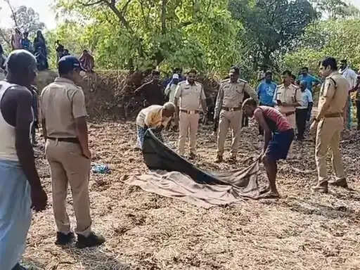 शहडोल: मकान में घुसकर हाथी ने किसान को कुचला, मौत