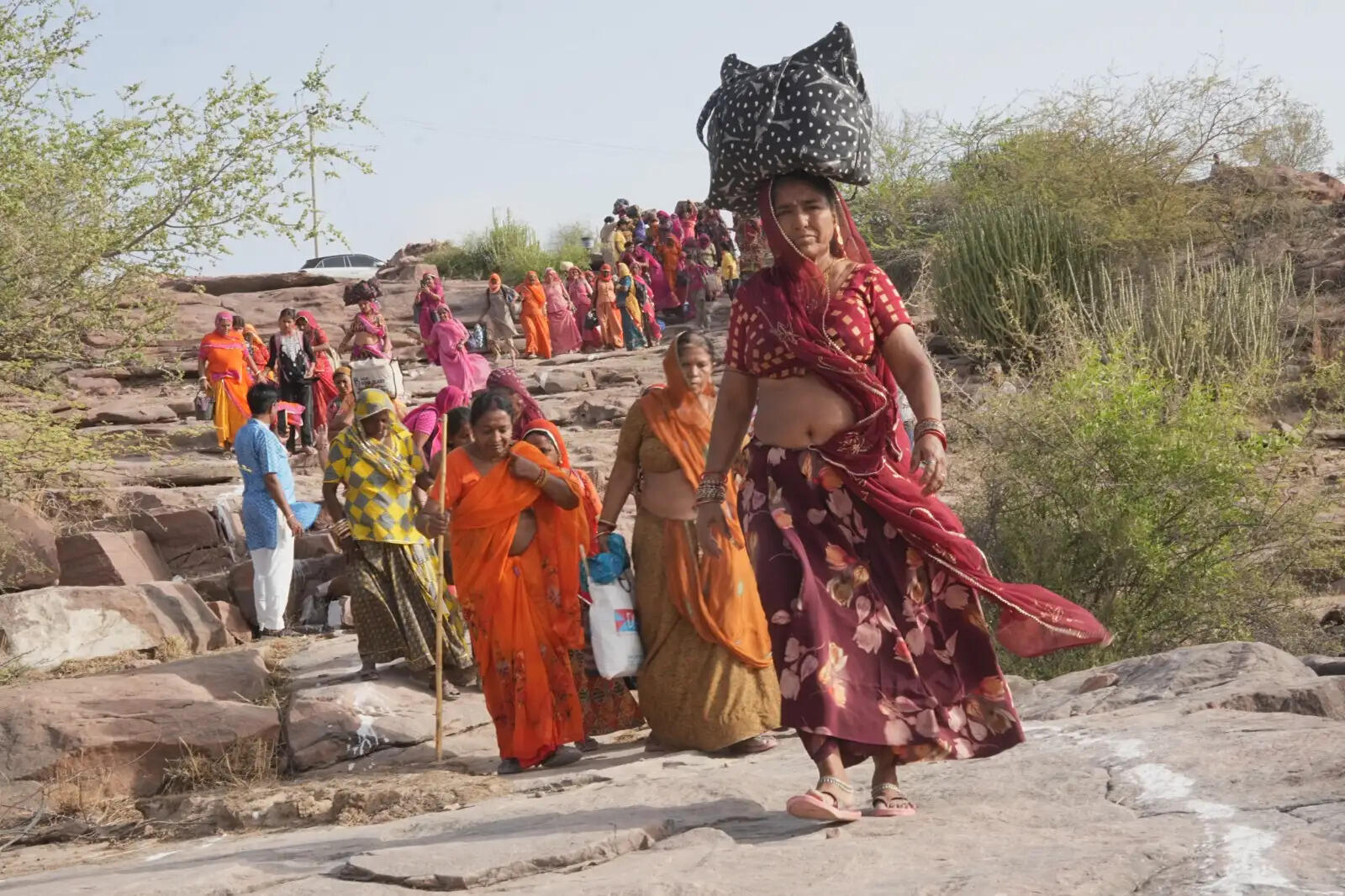 अंतिम पड़ाव स्थल मंडोर पहुंची भोगिशैल परिक्रमा यात्रा