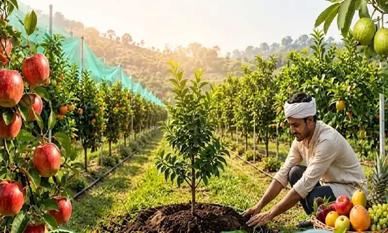 मप्र में उद्यानिकी मूल्य श्रृंखला मजबूत करने के लिए सोमवार को मंथन, उत्पादन से वैश्विक बाजार तक बनेगी रणनीति