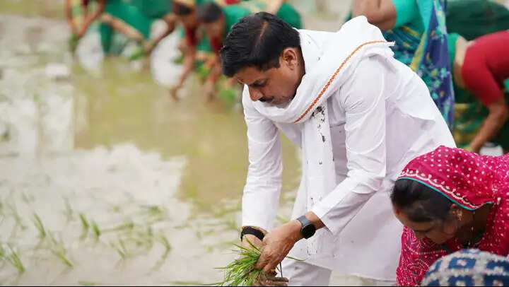 मप्र के मुख्यमंत्री की किसानों के हित में बड़ी घोषणा, बोले- धान की फसल पर भी देंगे भावांतर योजना का लाभ