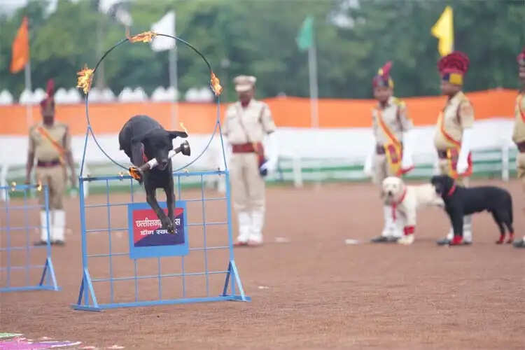 घुड़सवारों के साहस, महिला बैग पाईपर बैंड की लय और श्वान दल के रोमांचक प्रदर्शन से सजा स्वतंत्रता दिवस समारोह
