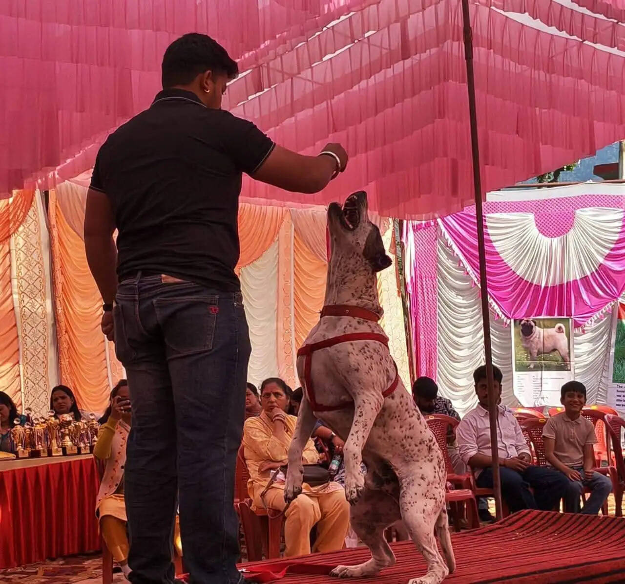 नलबाड़ किसान मेले में सुकेत डॉग शो का आयोजन