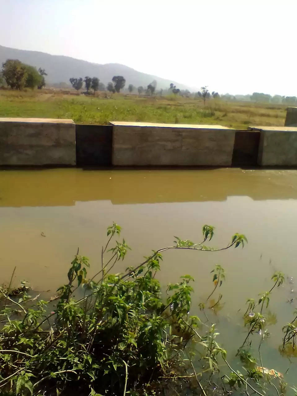 कोरबा : नरवा विकास योजना से जल संरक्षण व फसल उत्पादन में हो रही वृध्दि
