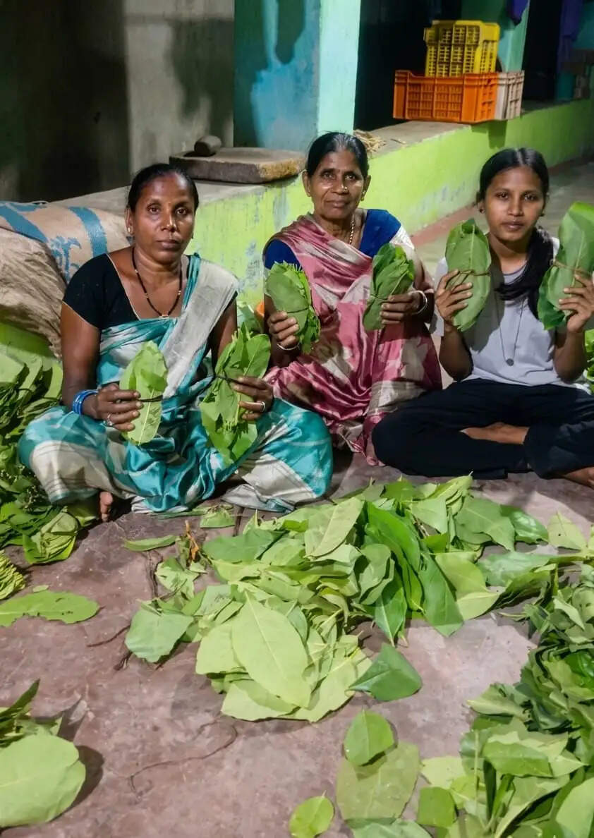 हरा सोना’ बना रामपुर की समृद्धि का आधार, शासन की योजना से कारी बाई और खेमबाई को मिला प्रत्यक्ष लाभ
