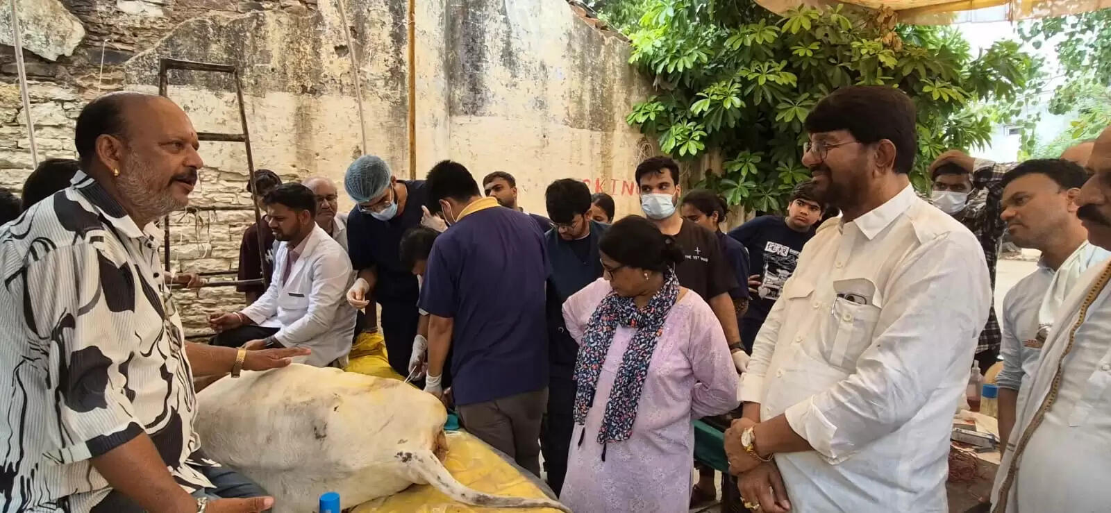 दमोहःनिराश्रित गौ वंश की सेवा और घायलों की शल्य चिकित्सा