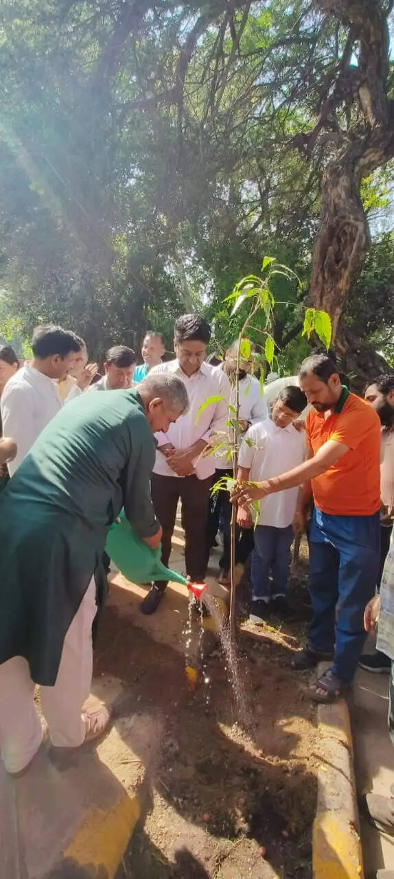 'एक पेड़ मां के नाम’ आन संडे अभियान के तहत लक्ष्मीबाई नगर में किया वृक्षारोपण