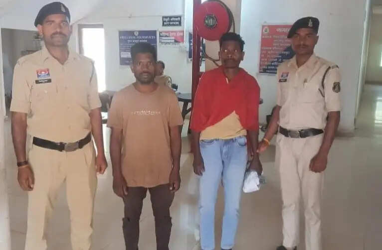 बलरामपुर के तुर्रीपानी अफीम फसल मामले में दो आरोपित गिरफ्तार, 18 क्विंटल से अधिक फसल जब्त