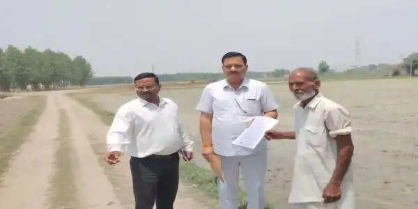 यमुनानगर में किसानों समय से पहले की धान की रोपाई, फसल नष्ट करने के नोटिस जारी