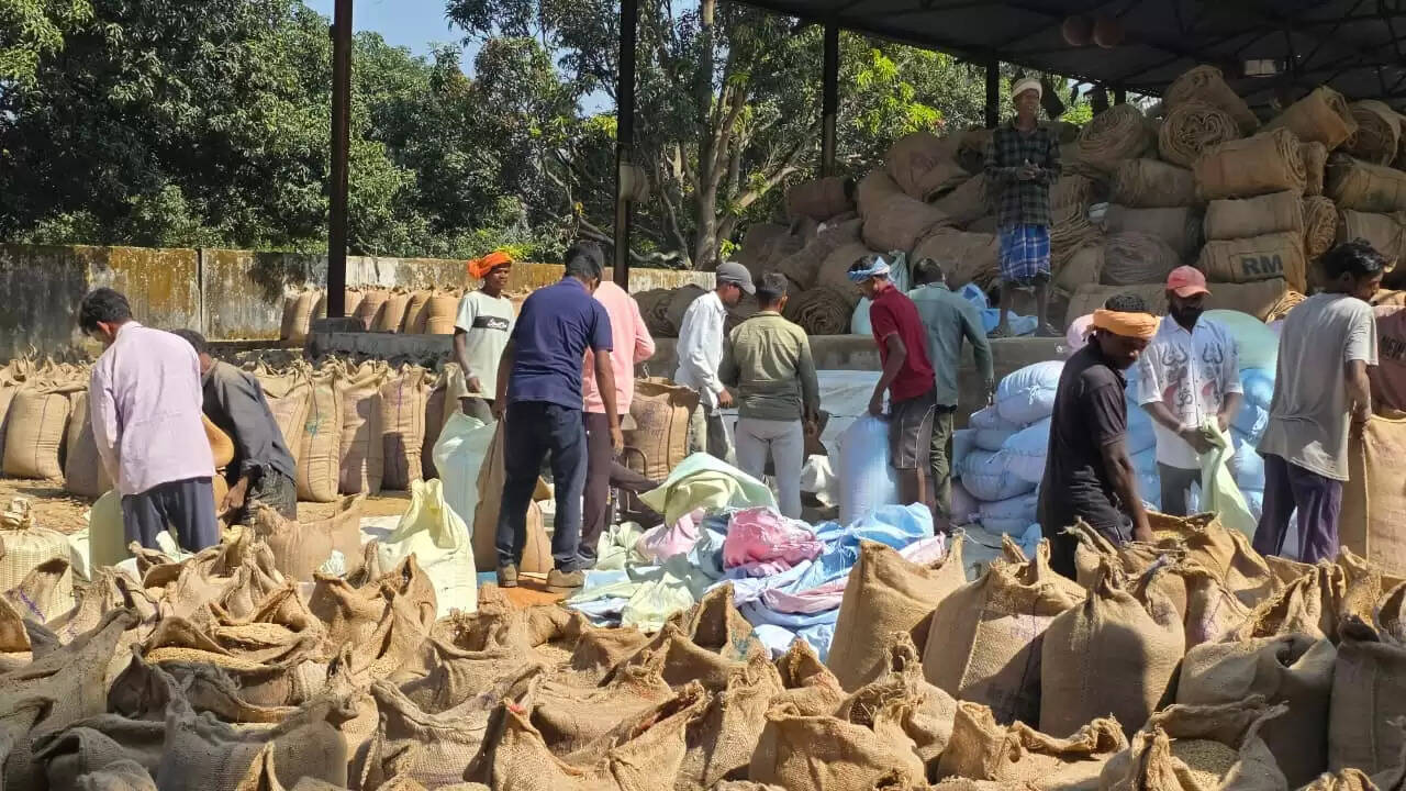 सरगुजा: जिले में अब तक 16.82 लाख क्विंटल से अधिक धान की खरीद