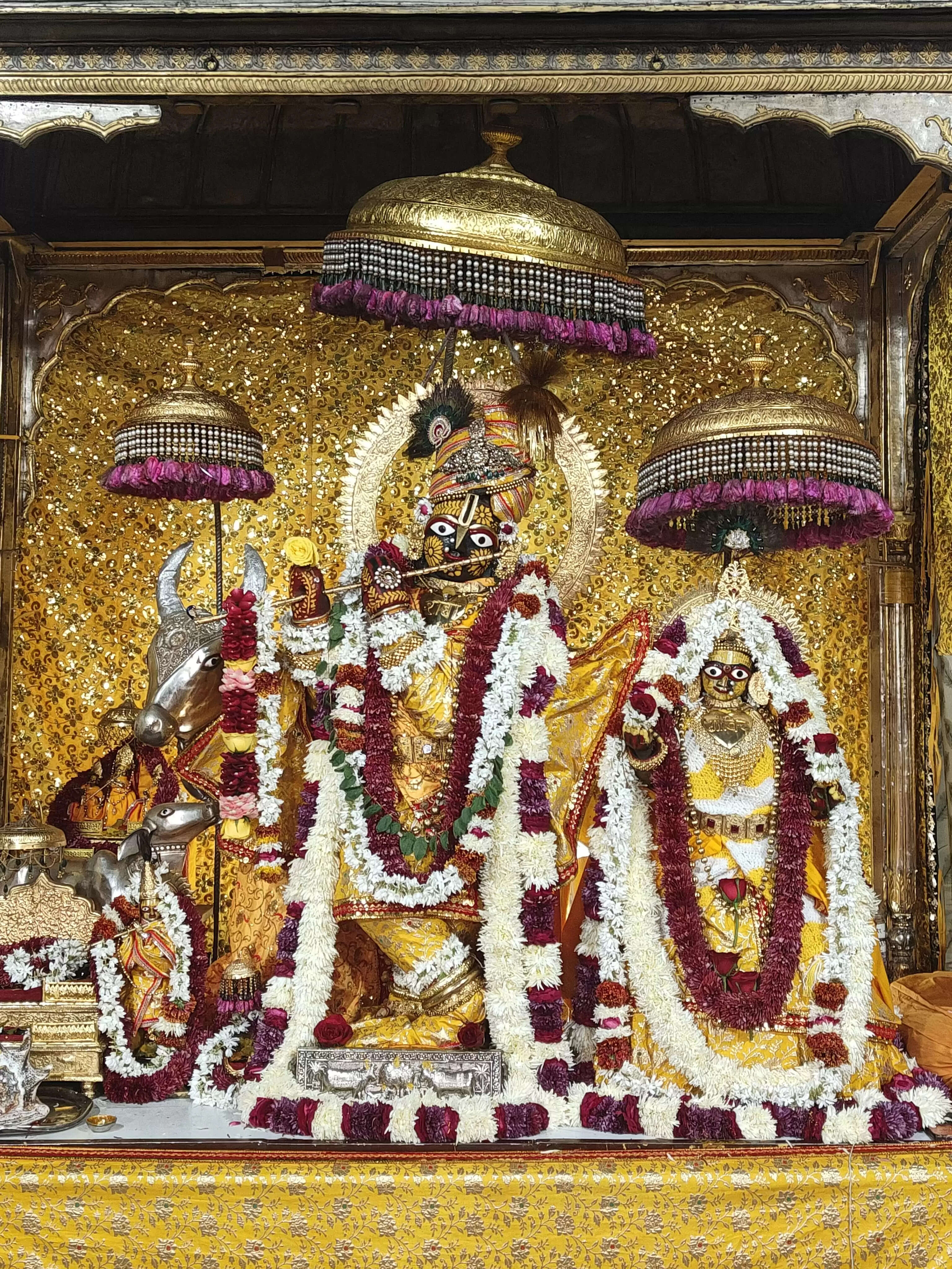 नव वर्ष पर मंदिरों में भीड़: गोविंद देवजी व मोती डूंगरी गणेश मंदिर में लगा रहा भक्तों का तांता