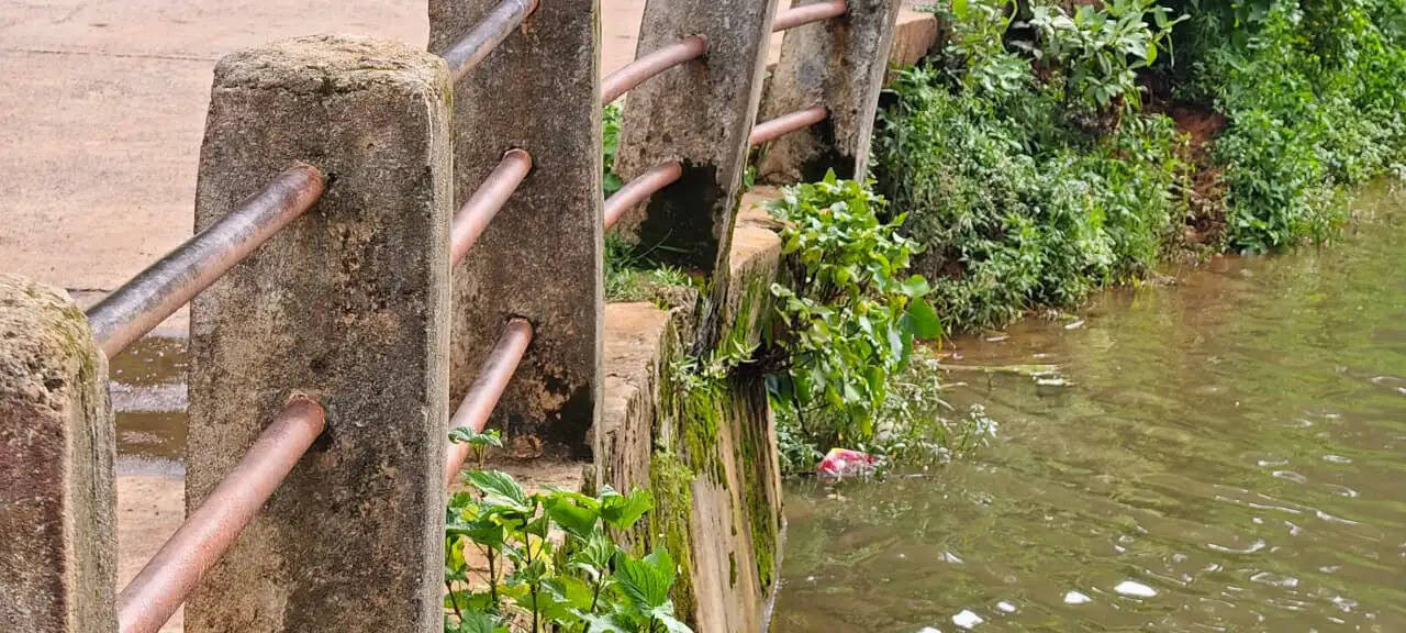 अनूपपुर: मप्र-छग को जोडने वाला अमरकंटक-कबीर चबूतरा मार्ग बारिश में बदहाल, मरम्मत के अभाव में आवाजाही मुश्किल