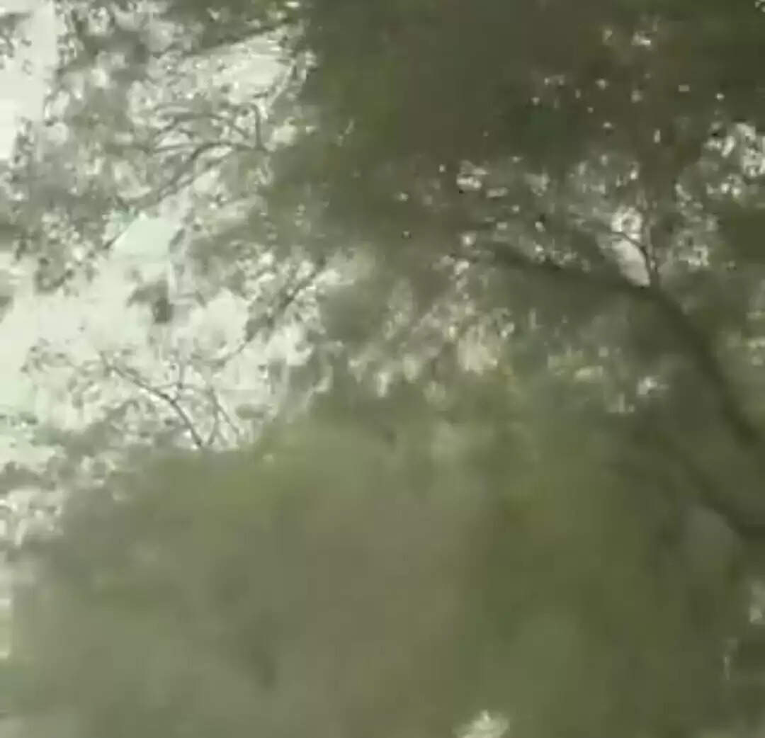 उप्र का नाेएडा तीसरे दिन भी रहा देश का सर्वाधिक प्रदूषित शहर