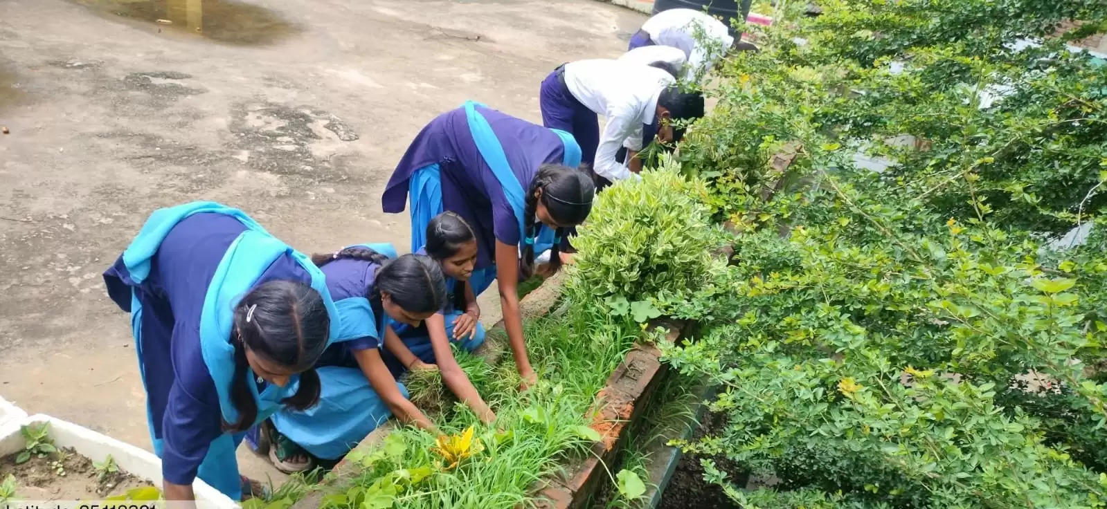 पोषण वाटिका एक शिक्षण अधिगम सामग्री