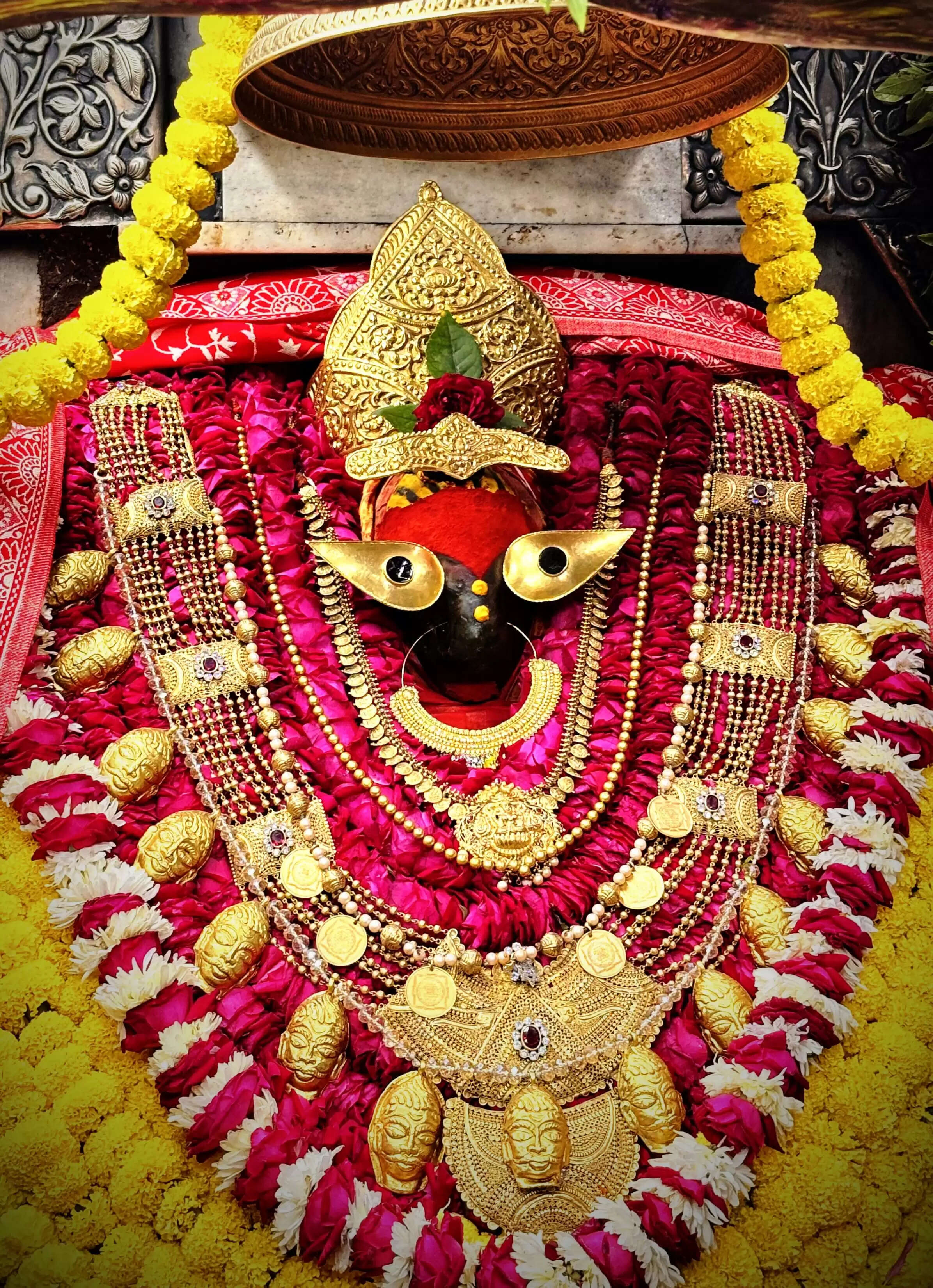 विश्व प्रसिद्ध विंध्यधाम में आस्था का ज्वार : मां की झलक पाकर नए साल की शुरुआत करने का उत्साह