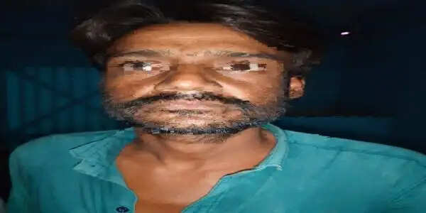 वाहन चेकिंग में खुला मवेशी चोरी का खेल, तीन मवेशी बरामद