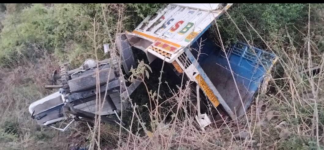 खाई में वाहन गिरने से चालक और जानवर की मौत