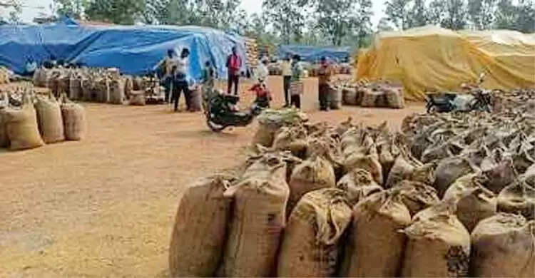छत्तीसगढ़ के धान खरीद केंद्रों में बनेगा आधुनिक इंफ्रास्ट्रक्चर