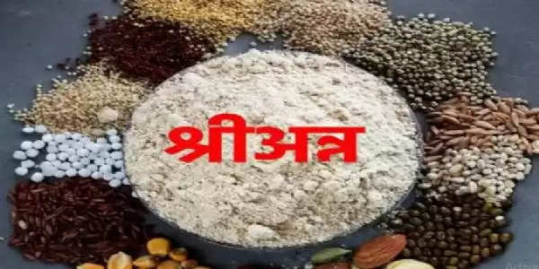 विंध्याचल मंडल में ज्वार-मक्का की खरीद में हलिया प्रथम