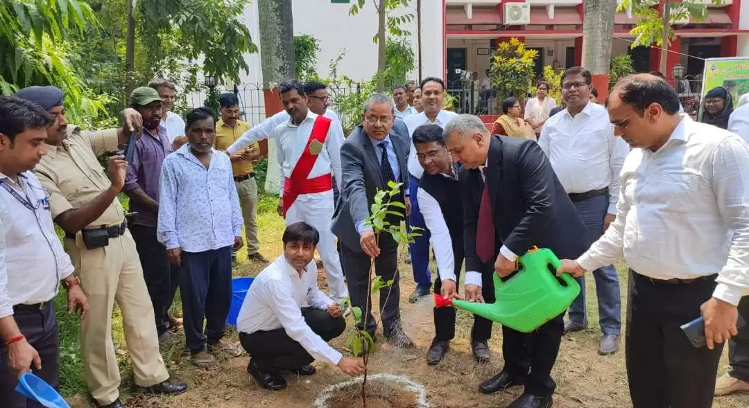 विश्व पर्यावरण दिवस को लेकर जगह जगह लगाए गए पौधे