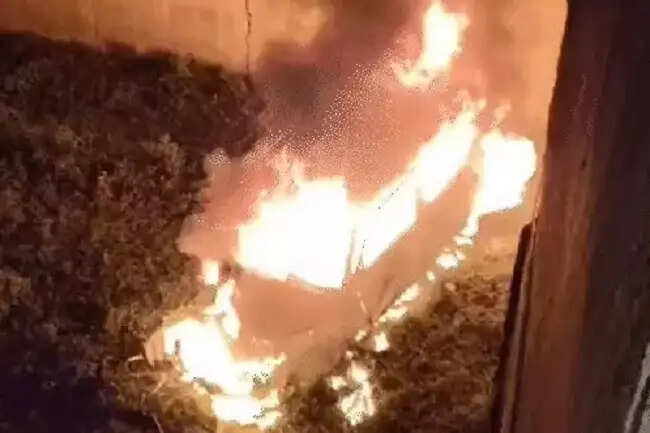 मध्य प्रदेश के धार में डिवाइडर से टकराकर कार में लगी आग, चार युवकों की जिंदा जलकर मौत