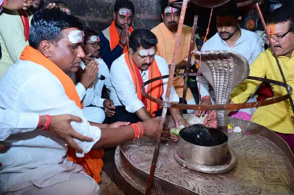 त्रिस्तरीय पंचायत उप निर्वाचन: सरपंच के 1 और पंच के 7 पदों पर उप निर्वाचन 1 जून को