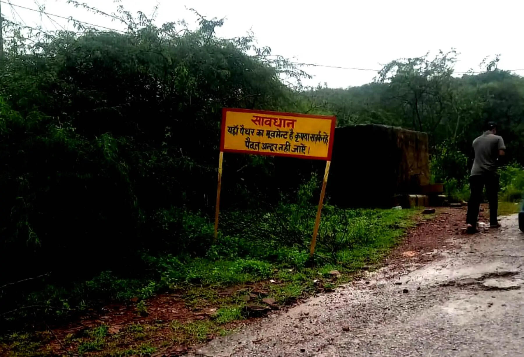 धौलपुर के मचकुंड सरोवर क्षेत्र में दिखा पैंथर का मूवमेंट