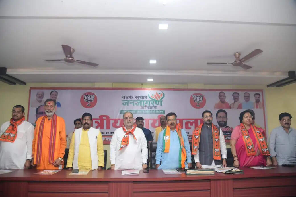 वक्फ संशोधित अधिनियम : मनमानी करने वालों पर लगेगा अंकुश, आएगी पारदर्शिता : दानिश अंसारी