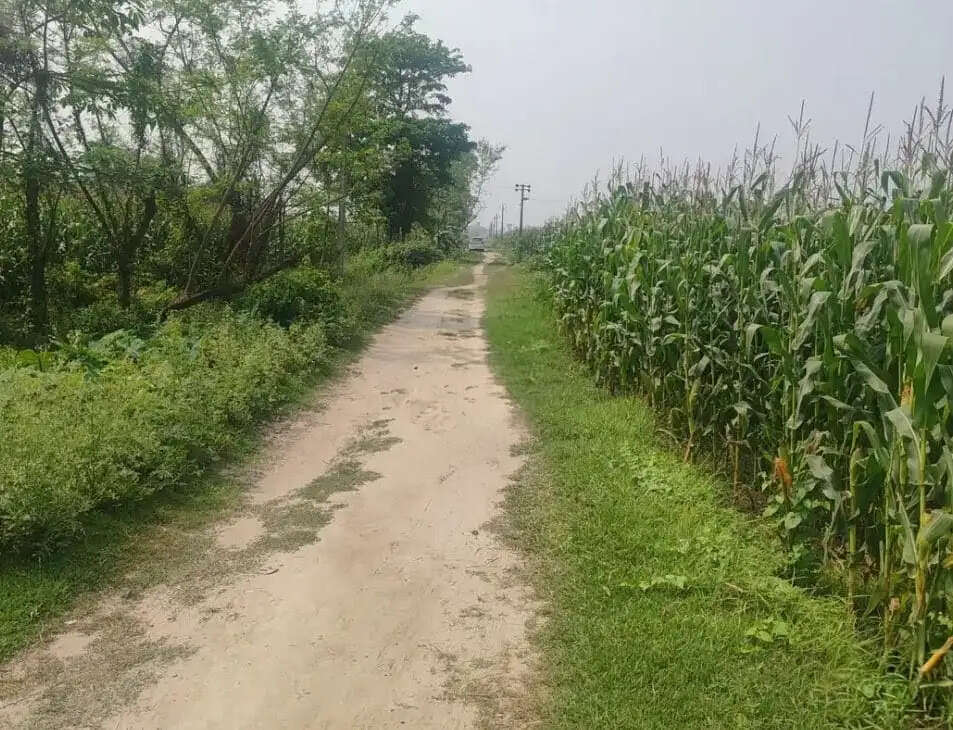 भीमनगर में 2.77 किमी सड़क निर्माण शुरू नहीं, समयसीमा पूरी होने में बचे केवल तीन महीने