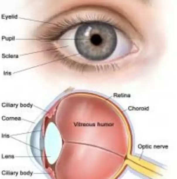 मधुमेह आंखों को पहुंचा सकता है नुकसान : डाॅ अनिल तिवारी