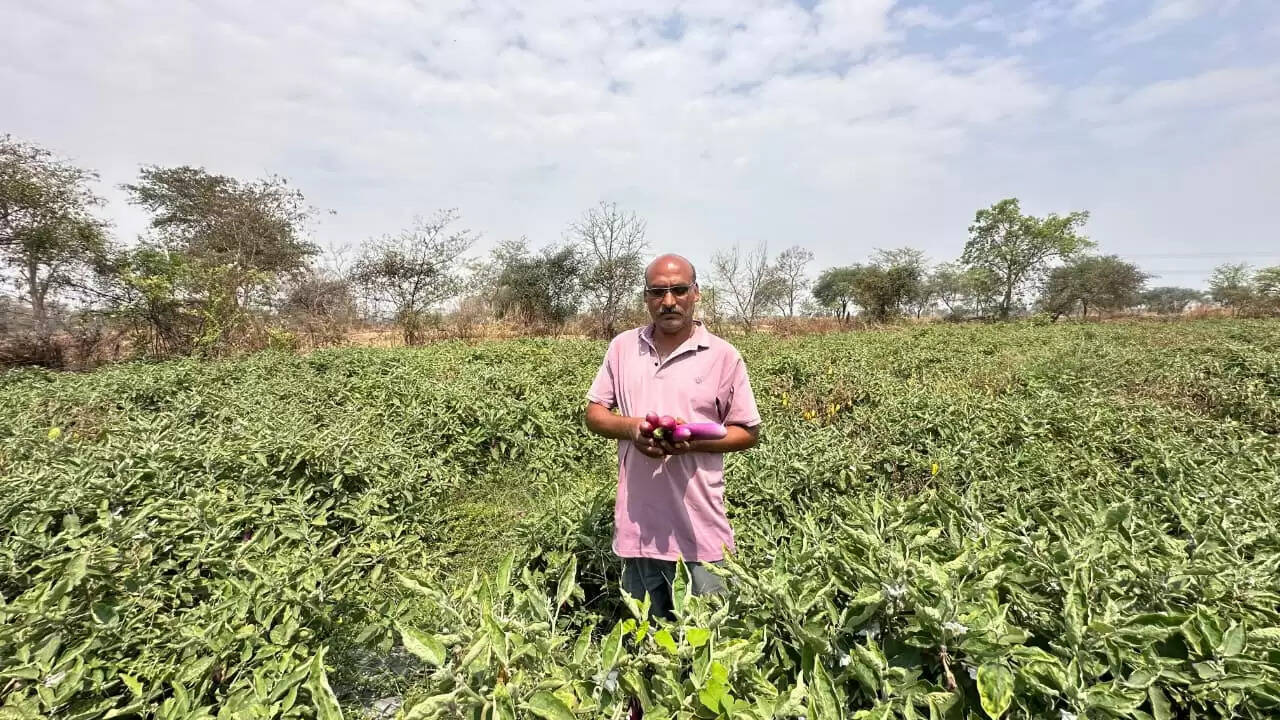 शासन की किसान हितैषी योजनाओं से आत्मनिर्भर बने संजय साहू