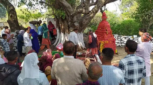 लारगन ब्राह्मण बिरादरी का वार्षिक महासम्मेलन संपन्न