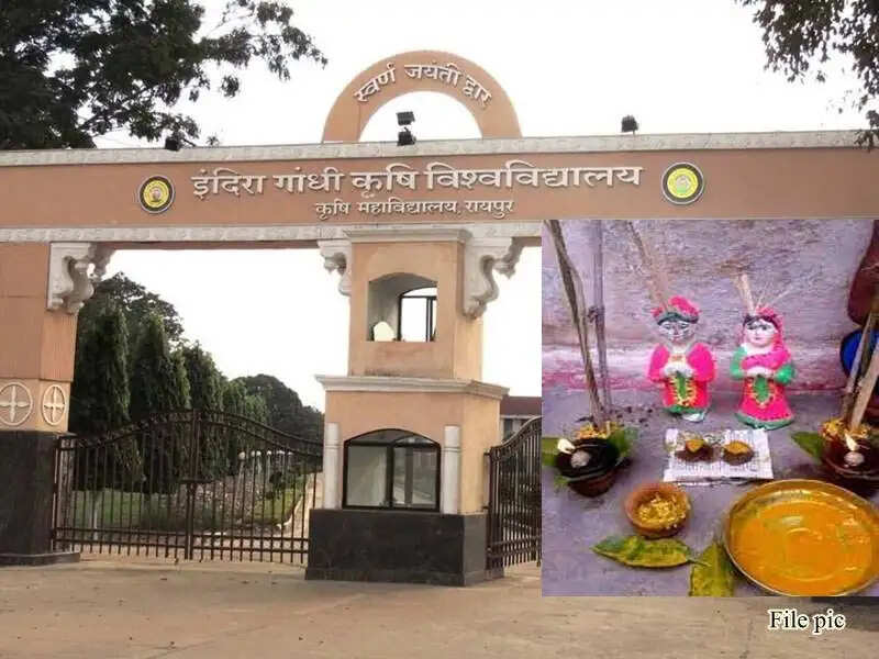 कृषि विश्वविद्यालय में आज&nbsp;मनाया जाएगा ‘अक्ती तिहार’ ,&nbsp;कुलपति डॉ. चंदेल करेंगे मिट्टी और बीजों की पूजा