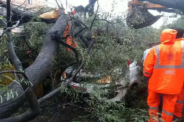 इंदौर में&nbsp;सड़क से गुजर रहे वाहनाें पर गिरा भारी पेड़, डिप्टी कलेक्टर की मां की मौत,&nbsp;डेढ़ घंटे तक कार में फंसी रही महिला