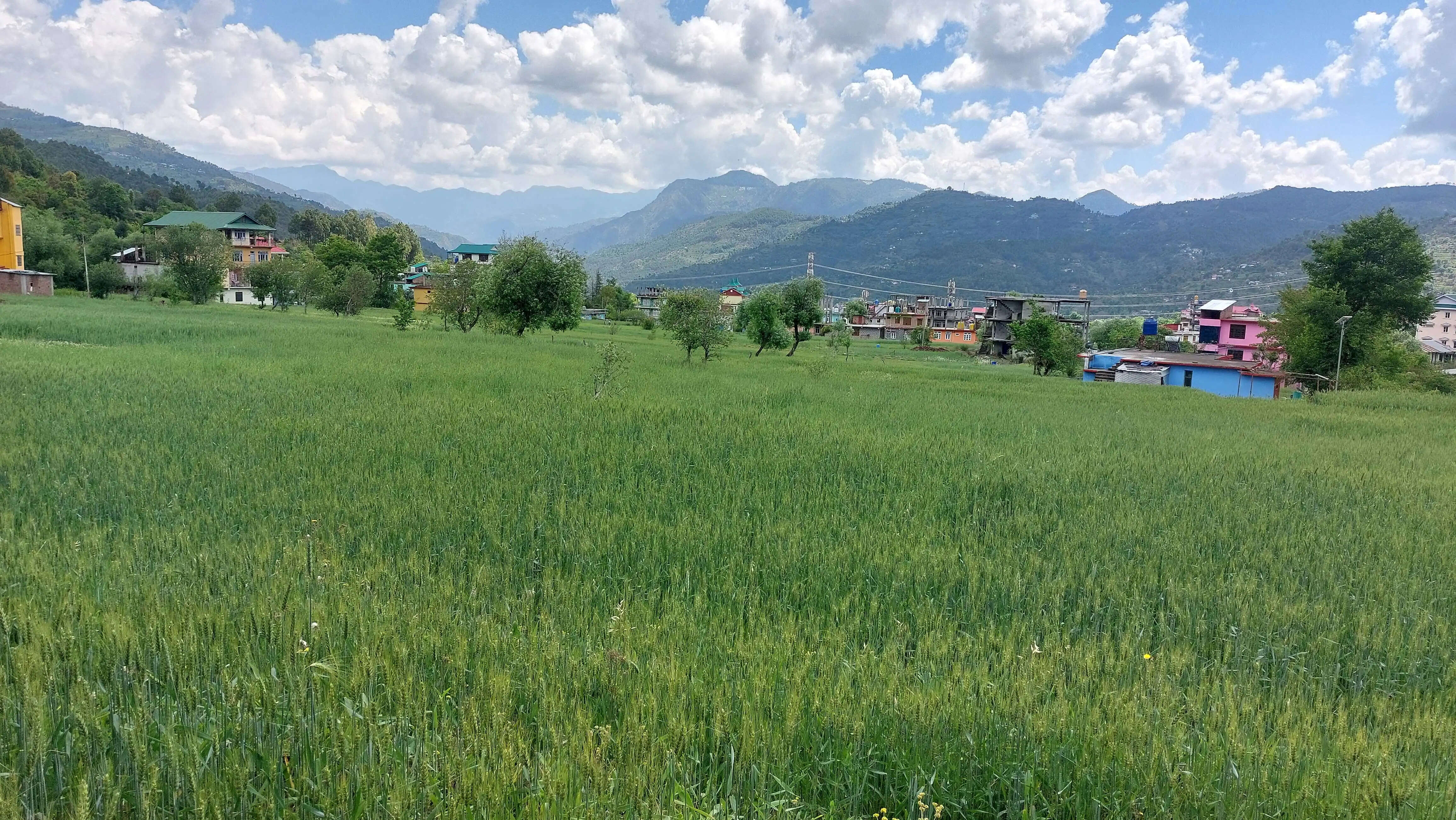 प्राकृतिक खेती को प्रोत्साहन से मंडी जिला में जुड़े 23 हजार से अधिक नए किसान