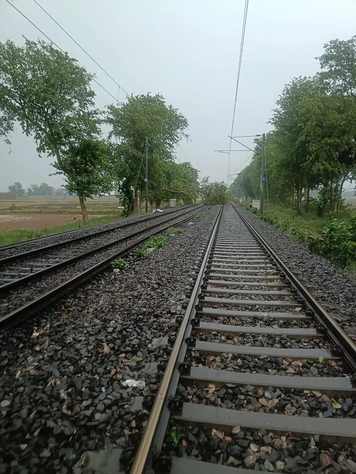 आंधी ने रोकी रेल की रफ्तार, पेड़ गिरने से ओएचई वायर टूटा, कई ट्रेनें डायवर्ट