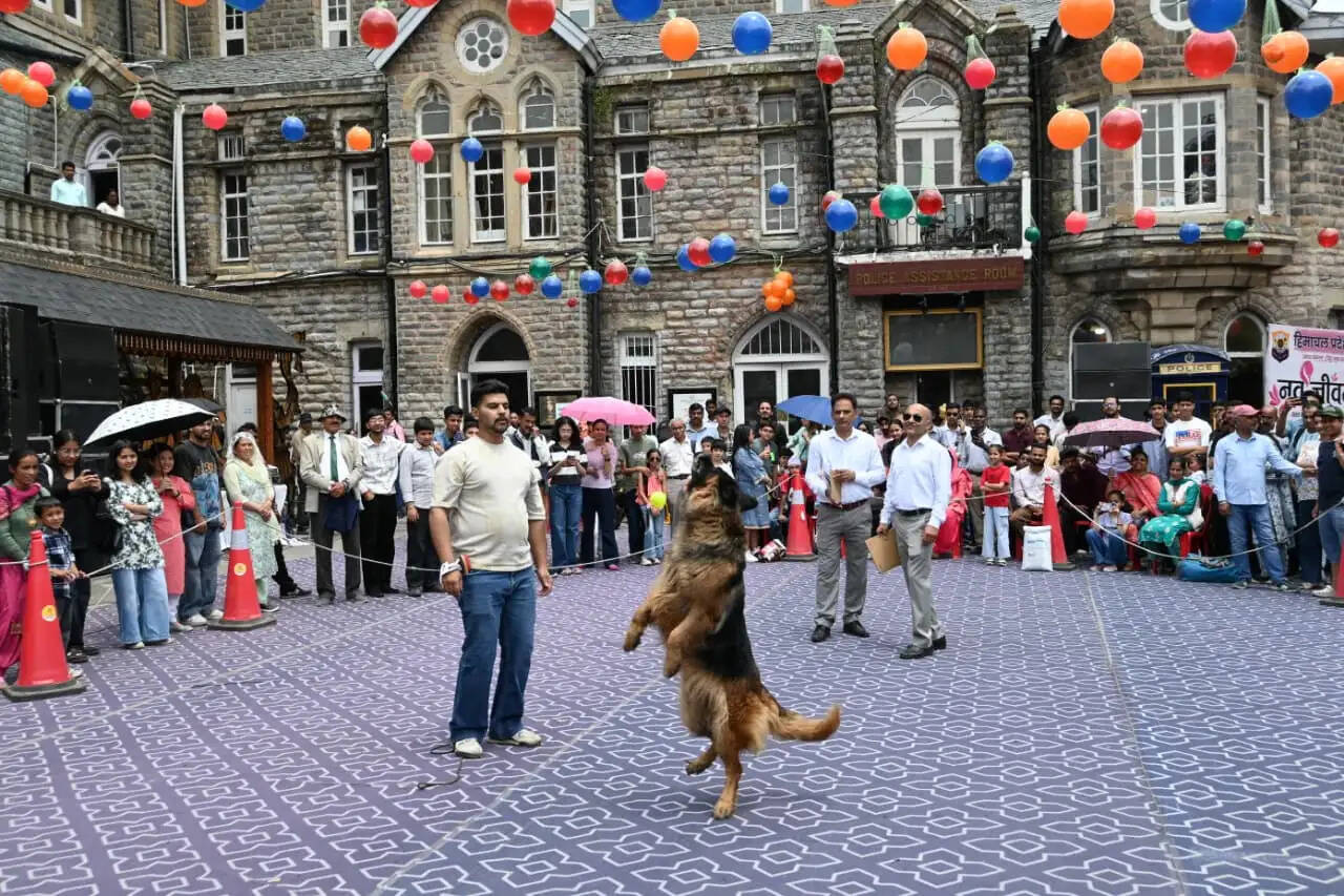 शिमला समर फेस्टिवल में डॉग शो बना आकर्षण का केंद्र, ‘डब्बी’ रहा चैंपियन