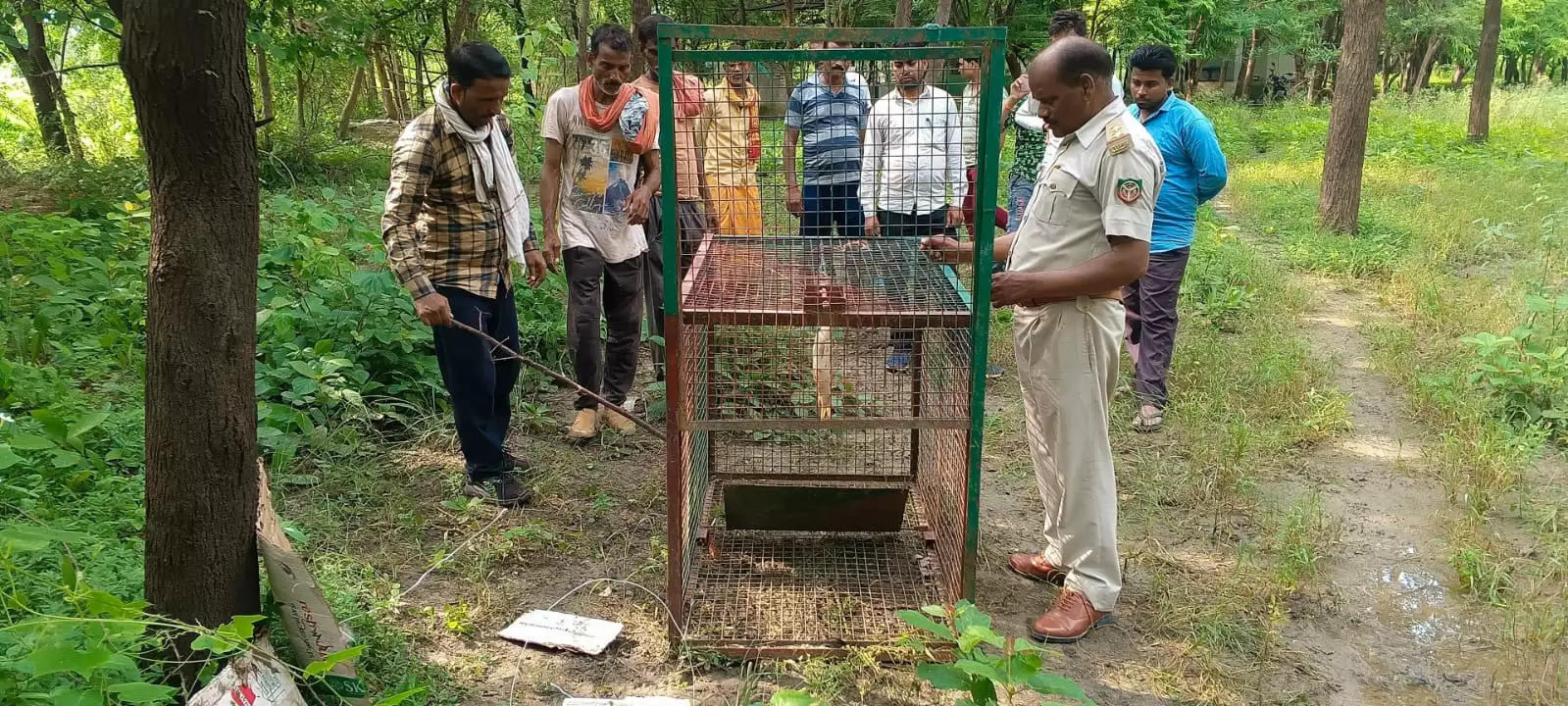 बहराइच के ऑपरेशन भेड़िया के बाद अब झांसी में ऑपरेशन सियार