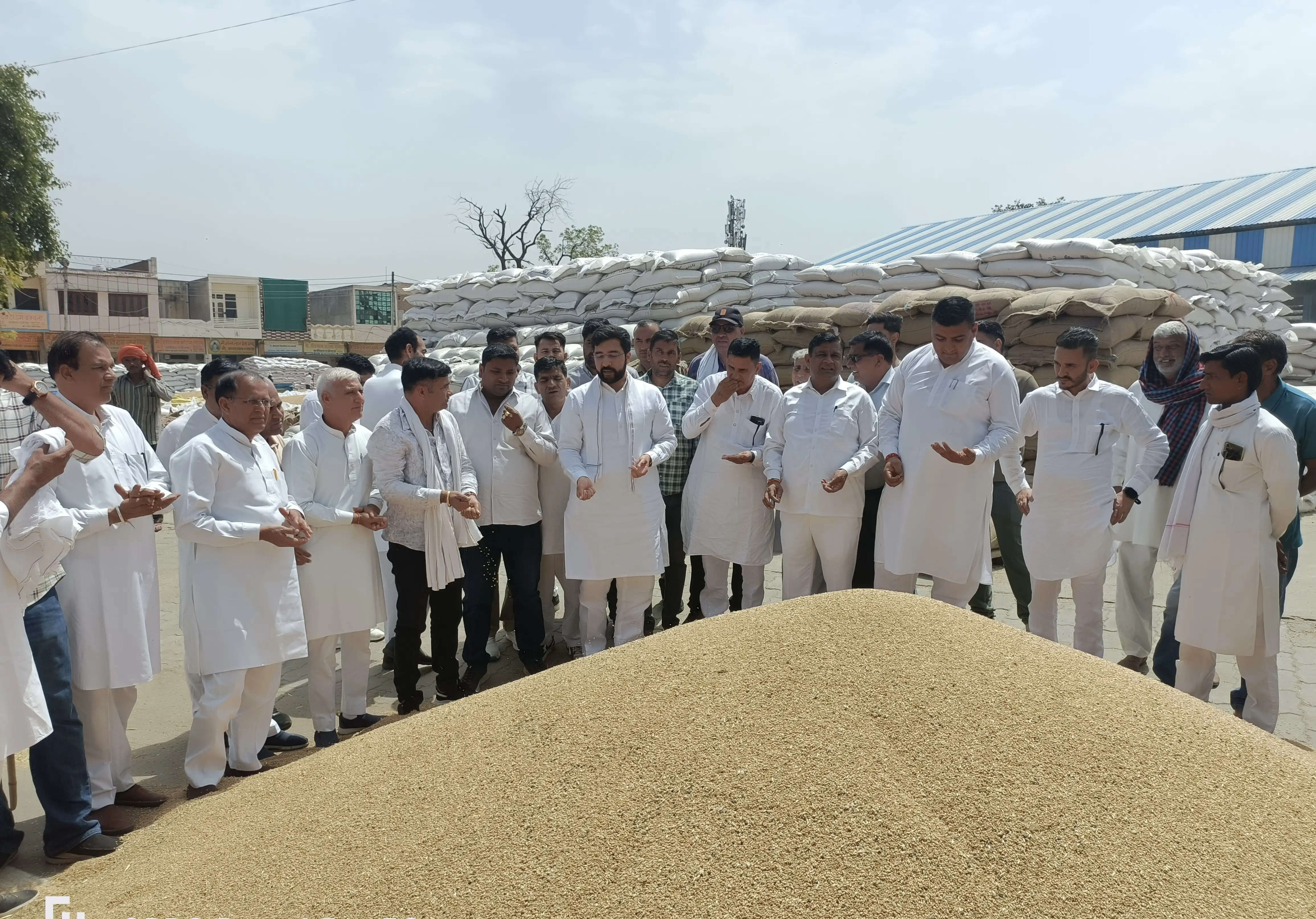 कैथल:गेहूं-सरसों की खरीद में पेचीदगियां, उठान न होने से किसान व आढ़ती परेशानी : सुरजेवाला