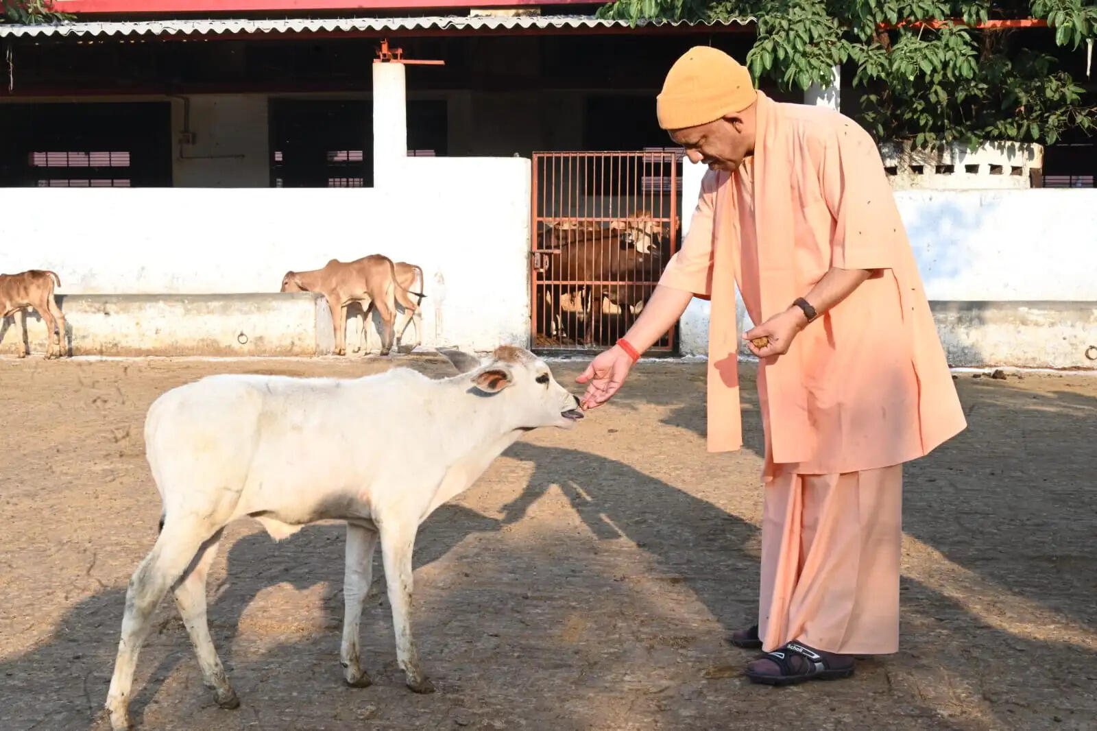 जनता की हर समस्या का त्वरित समाधान कराएं अधिकारी: मुख्यमंत्री