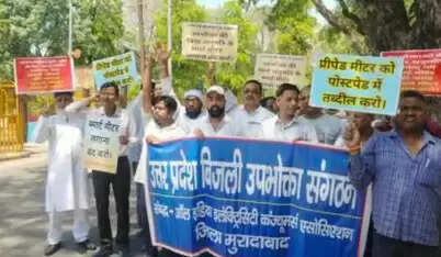 उप्र बिजली उपभोक्ता संगठन का जबरन स्मार्ट मीटर लगाने का आरोप, किया प्रदर्शन