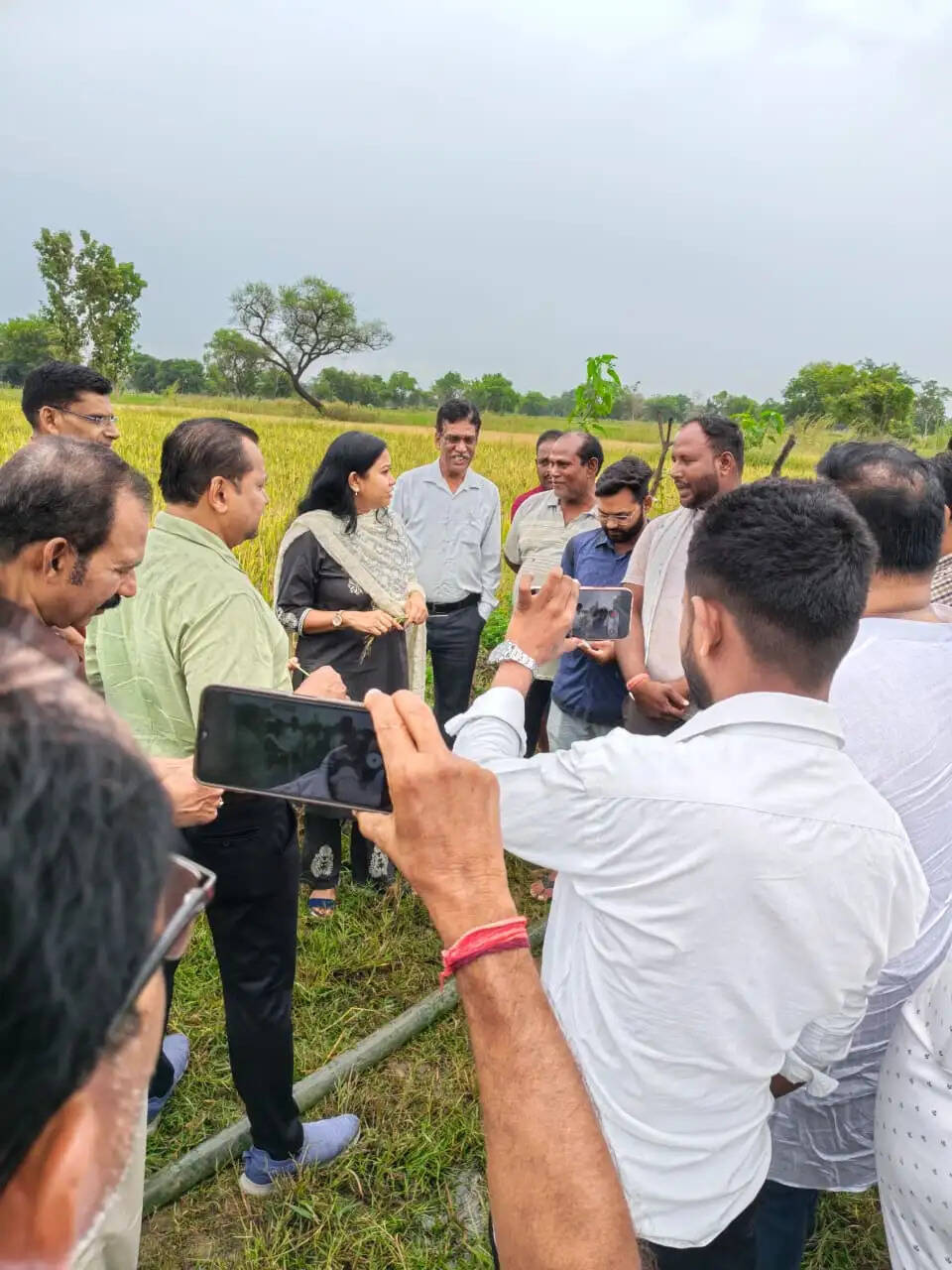सारंगढ़-बिलाईगढ़ में काले चावल की खेती को मिलेगा बढ़ावा