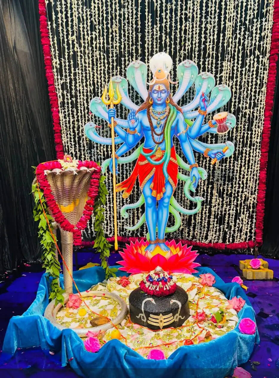आगरमालवाः बाबा बैजनाथ महादेव का किया नागभूषण श्रृंगार