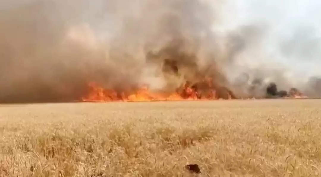 गेहूं के खेतों में लगी आग, ट्रैक्टर ट्राली पलटने से किशोरी की मौत