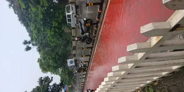 रांची में बारिश का कोटा पूरा, अब तक 1207.9 मिमी वर्षा दर्ज