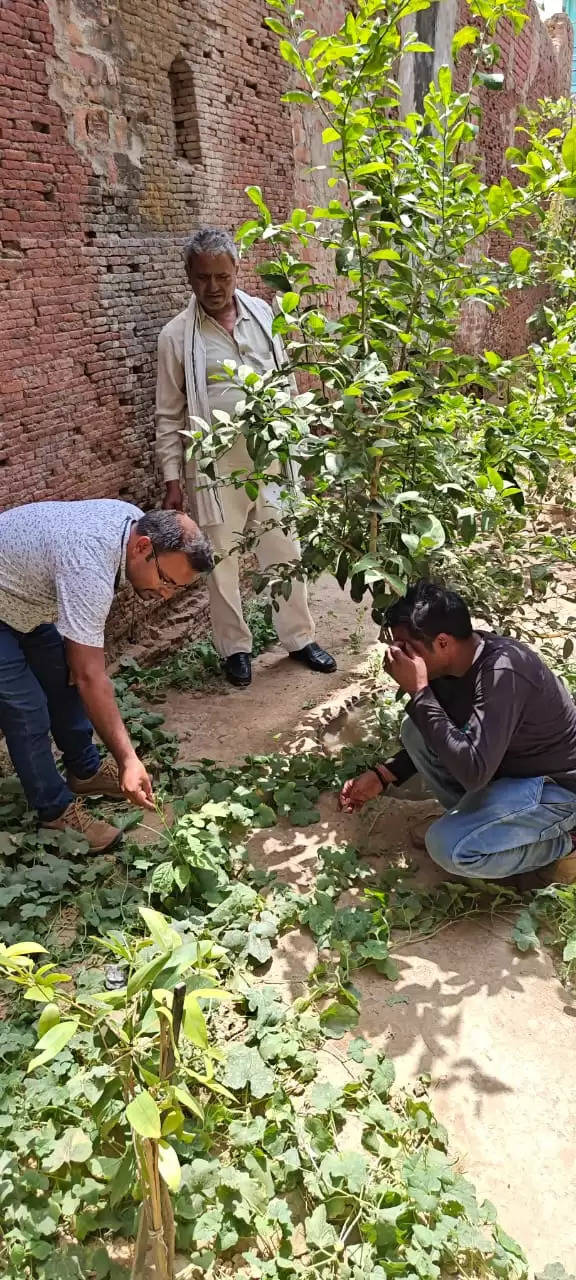 जहां चाह वहां राह, सूरज की गर्मी को कर दिया धीमा