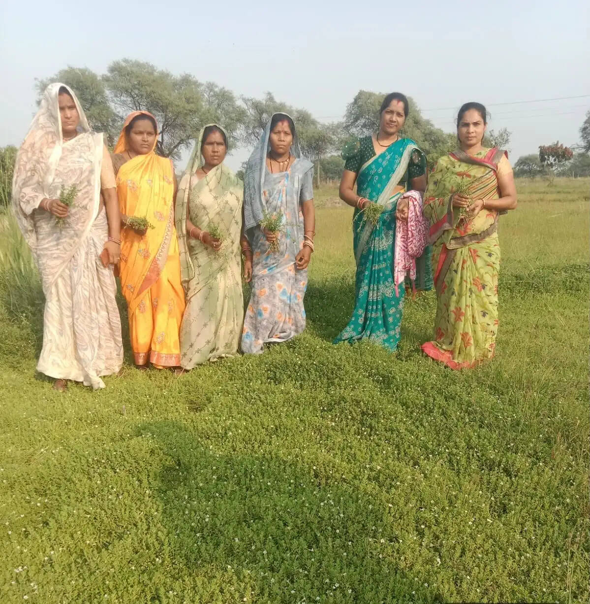 धमतरी मॉडल बना देश के लिए प्रेरणा: औषधीय खेती से महिलाओं की आर्थिक क्रांति, 500 एकड़ विस्तार का लक्ष्य